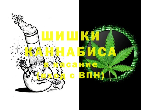 кокс Арсеньев