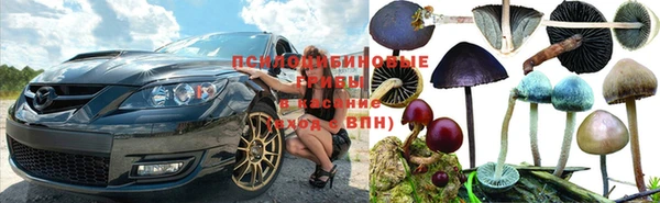 прущий лед Армянск