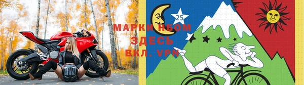 хмурый Алзамай