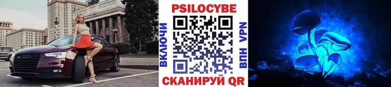 цены наркотик  Артёмовский  MEGA ONION  Галлюциногенные грибы Psilocybine cubensis 